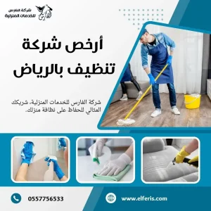 شركة تنظيف بالرياض