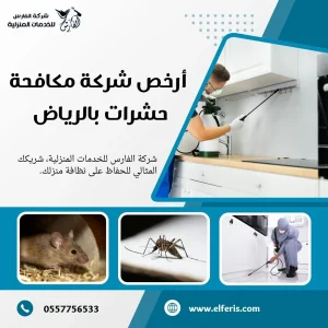 رش مبيدات بالرياض