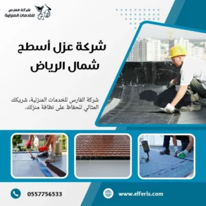 شركة عزل اسطح بالرياض