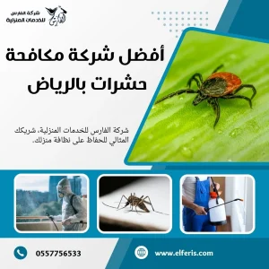 شركة مكافحة حشرات بالرياض