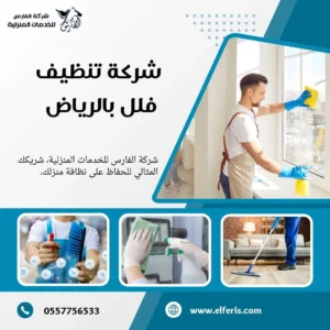 شركة تنظيف فلل بالرياض