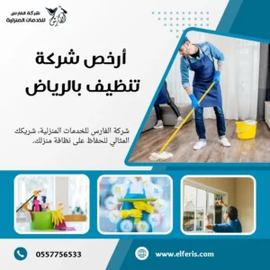 شركة تنظيف فلل بالرياض