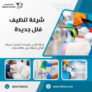 شركة تنظيف فلل بالرياض