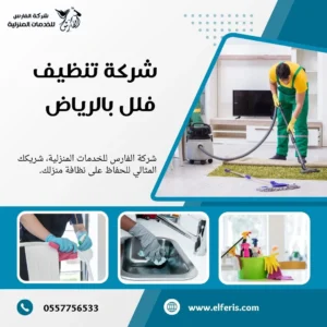 شركة تنظيف فلل بالرياض
