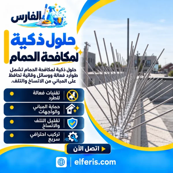 حلول ذكية لمكافحة الحمام