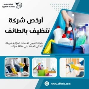 شركة تنظيف بالطائف
