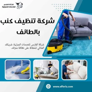 شركة تنظيف بالطائف