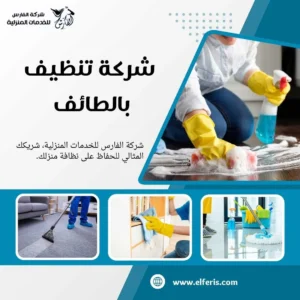 شركة تنظيف بالطائف