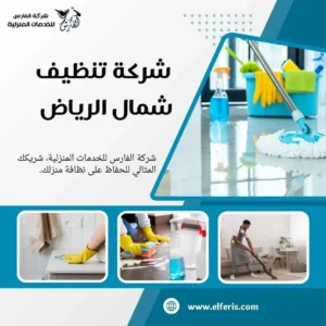 شركة تنظيف شمال الرياض