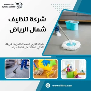 شركة تنظيف شمال الرياض