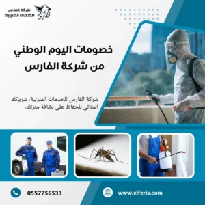 خصومات اليوم الوطني