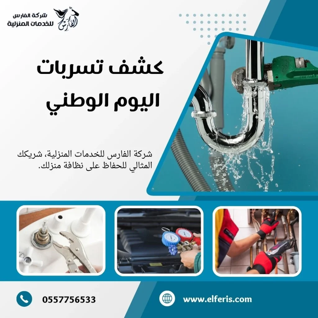 كشف تسربات اليوم الوطني