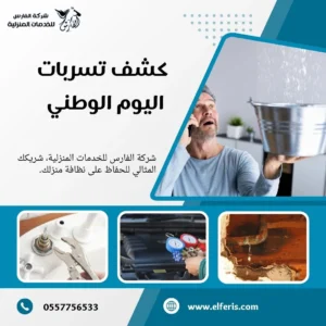 كشف تسربات اليوم الوطني