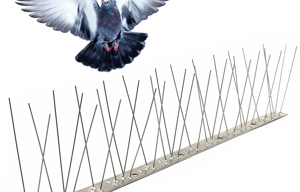 أنواع طارد الحمام في الرياض