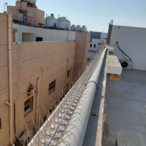 طارد الحمام